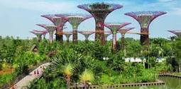 Garden by the Bay